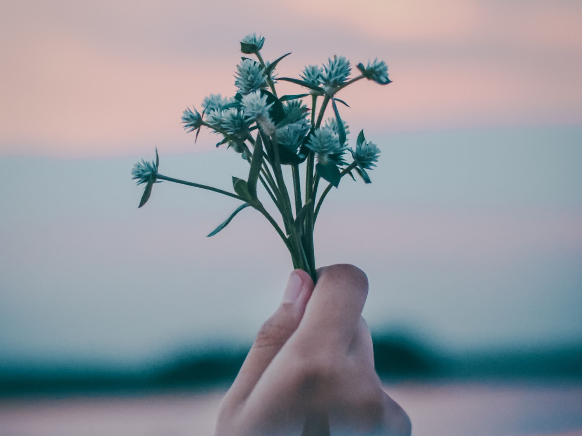 Recensie De moeders van Mahipar (30-6-22) - Verhalen Kompas